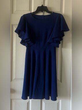 Elegant Navy Ruffle Sleeve A-Line Dress